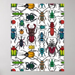 Beetles på white poster