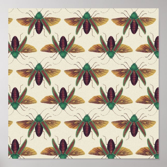 Beetles Poster (Framsidan)