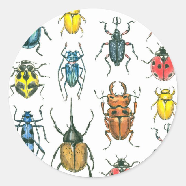 Beetles Runt Klistermärke (Framsida)
