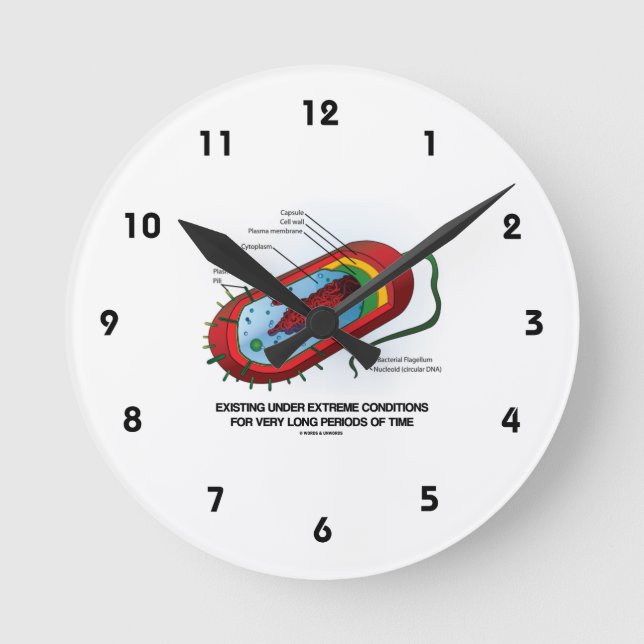 Befintlig under extrem Villkor mycket lång tid Rund Klocka (Framsida)