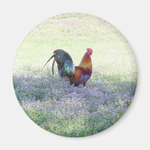 Befjädrad pridemagnet magnet
