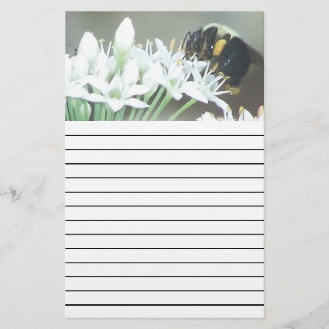 Befodrad Brevpapper (Framsida)