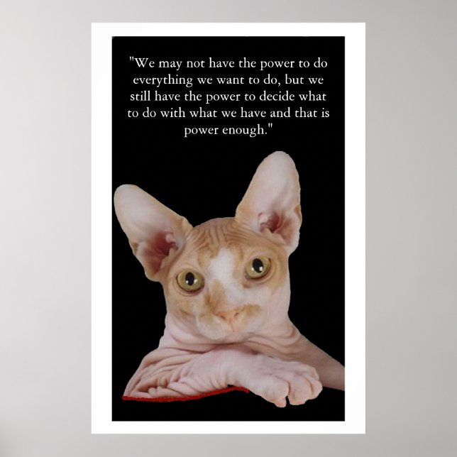 "Befogenhet att besluta" Poster (Framsidan)