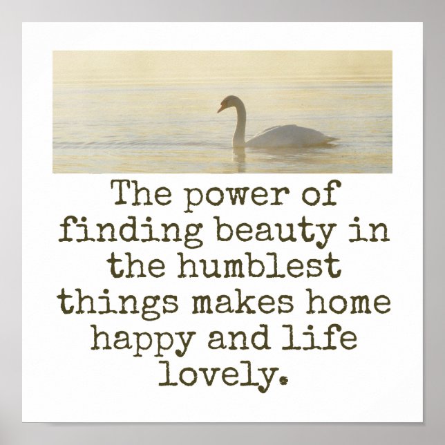 Befogenheten att hitta skönhet - skönhetsoffert poster (Framsidan)