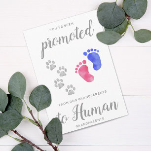 Befordrad från Hund Ny morföräldrarGravid Meddelande