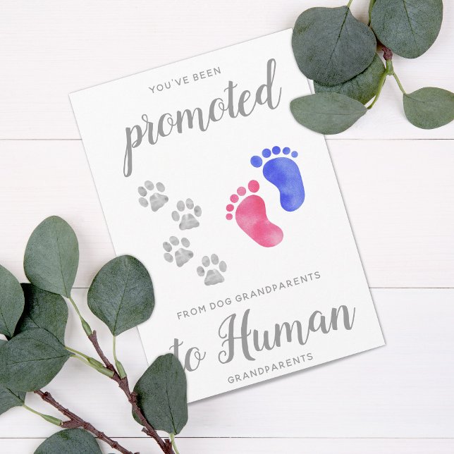 Befordrad från Hund Ny morföräldrarGravid Meddelande (Skapare uppladdad)