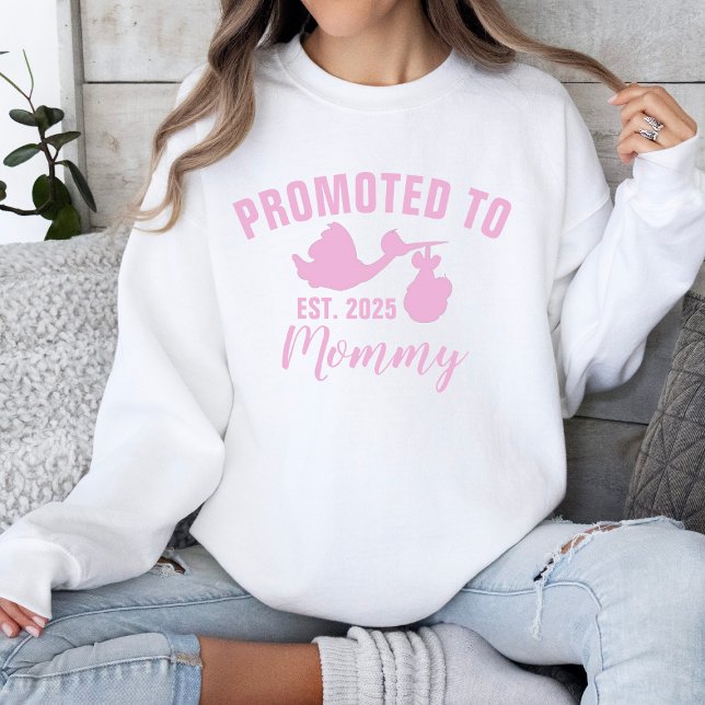 Befordrad till Mamma 2025 Stork Girl Gender Reveal T Shirt (Skapare uppladdad)