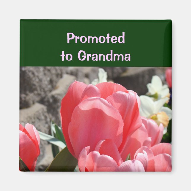 Befordrad till mormor magnet Rosa Tulpan Blommor (Framsidan)