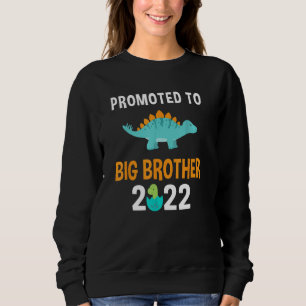 Befordrad till storebror 2022 Boys Stegosaurus Din T Shirt