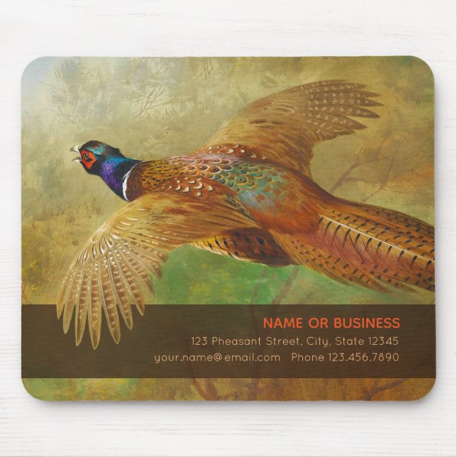 Befordrings- Archibald Thorburn flygpheasant Musmatta (Framsidan)