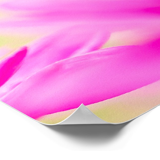 Before the Bloom Poster (Hörn)