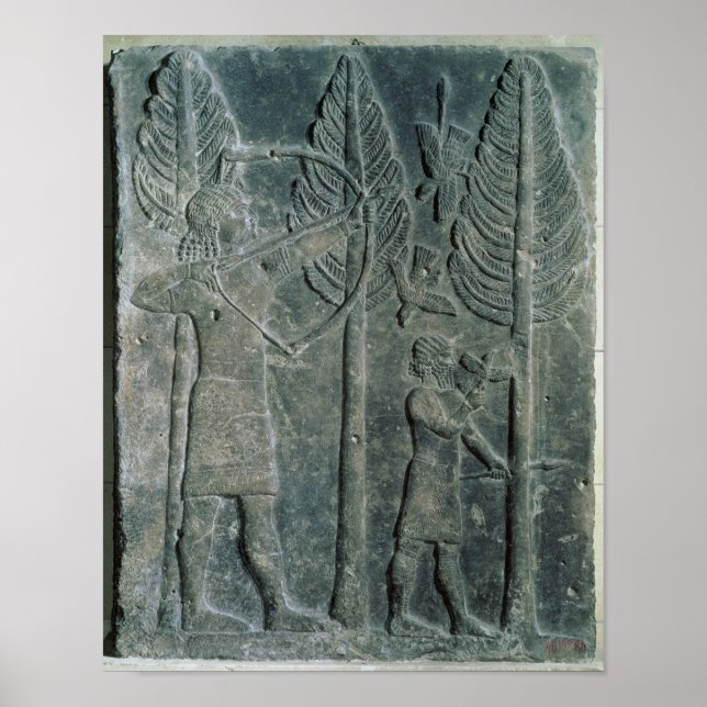 Befrielse från jakt på fåglar i poster (Framsidan)