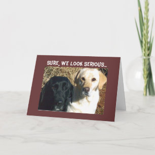 BEG FÖR BEHANDLING SÅ VÄL ÖNSKEMÅL KORT