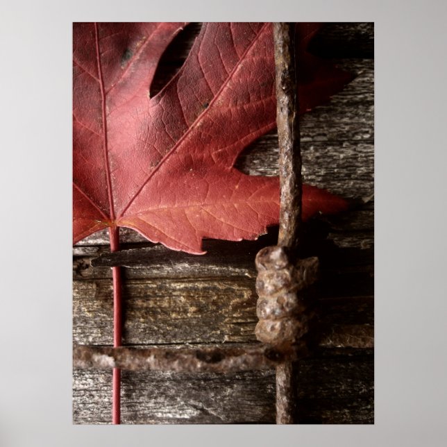 begagnad och i väster poster (Framsidan)