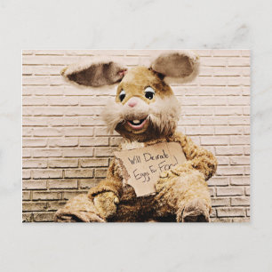 Beggar Bunny,Rabbit Kostym, Finny Vykort