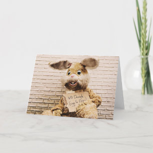 Beggar Bunny, roligt kaninkort för Påsk Helgkort