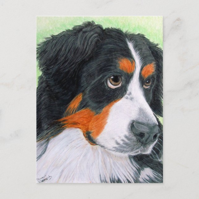 Beging Bernese Vykort (Framsida)