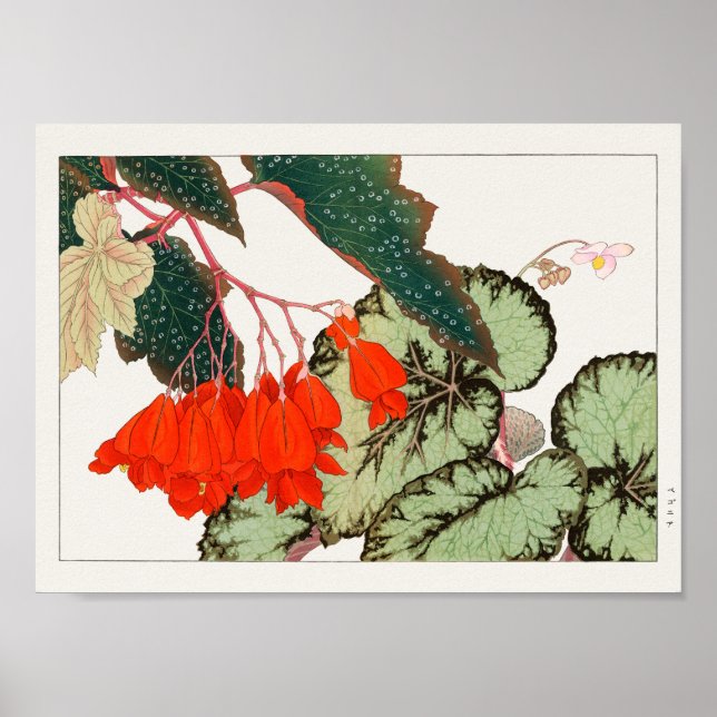Begonia av Tanigami Konan Poster (Framsidan)