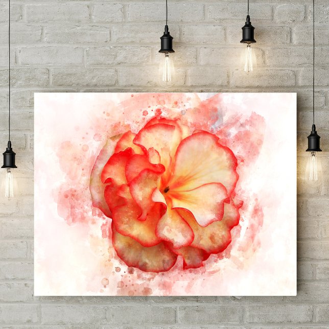 Begonia-blommans vattenfärg - wb3 poster (Skapare uppladdad)