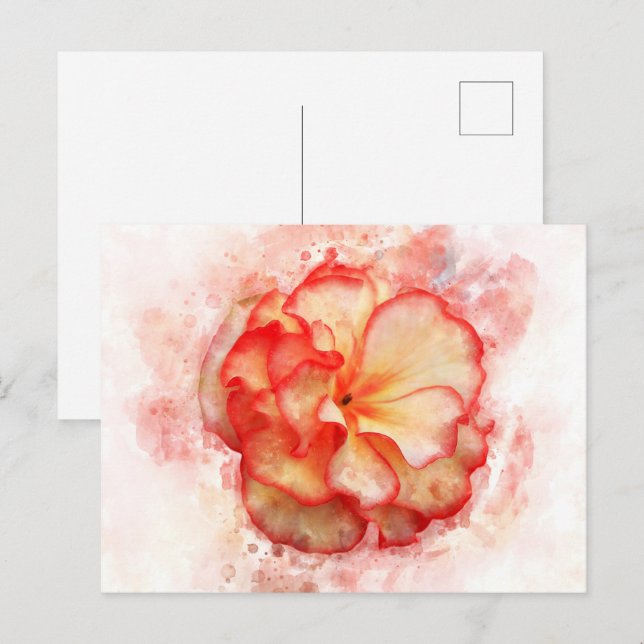 Begonia-blommans vattenfärg - wb3 vykort (Fram/baksida)