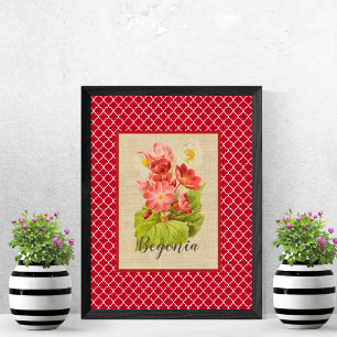 Begonia Botanical och Quatrefoil Poster