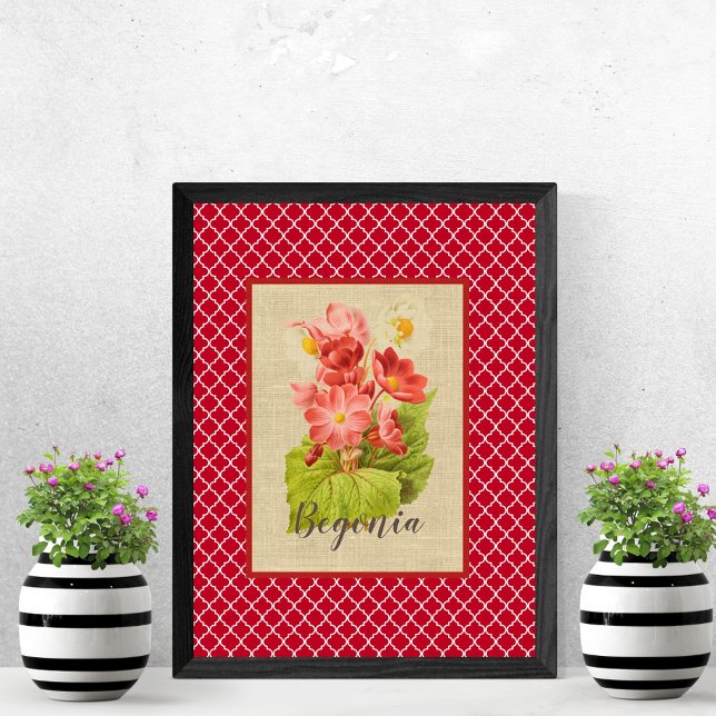 Begonia Botanical och Quatrefoil Poster (Skapare uppladdad)