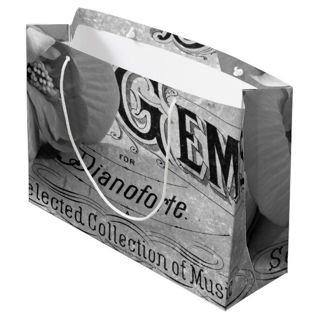 Begonia Gems Pianoforte (Baksidan Vinklad)