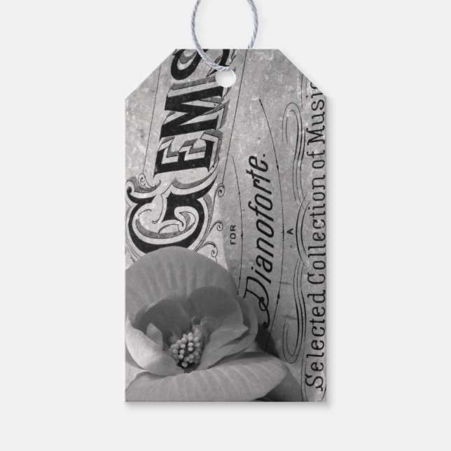 Begonia Gems Pianoforte Presentetikett (Framsidan)