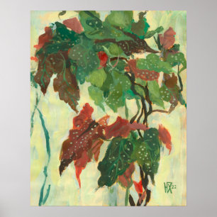 Begonia Maculata Home Garden Plant Blommigt Painti Poster