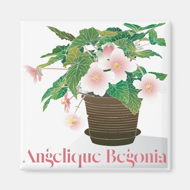 Begonia Magnet (Framsidan)