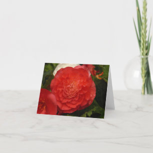 Begonia notecard kort