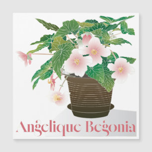 Begonia Platt Magnet