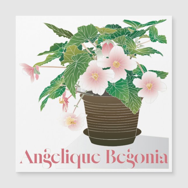 Begonia Platt Magnet (Framsida)