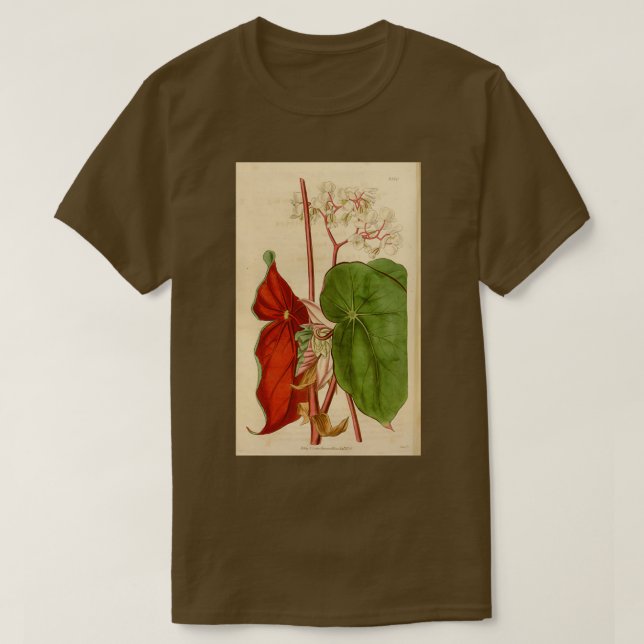 Begonia sanguinea t shirt (Design framsida)