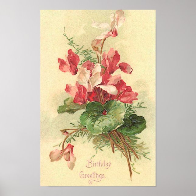Begonia Vintage Birthday Greetings Poster (Framsidan)