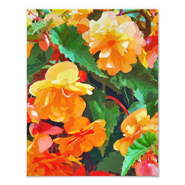 BEGONIAS FOTOTRYCK (Framsidan)