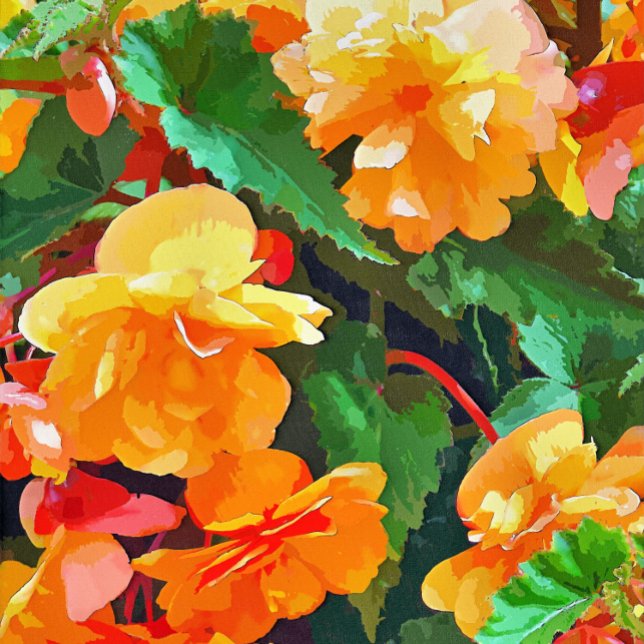 BEGONIAS KAKELPLATTA (A pretty watercolor of yellow and pink begonias. )