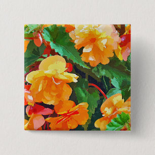 BEGONIAS KNAPP