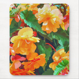 BEGONIAS MUSMATTA