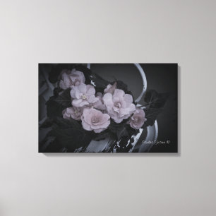Begonias on Bench Garden Scene Gallery Canvas