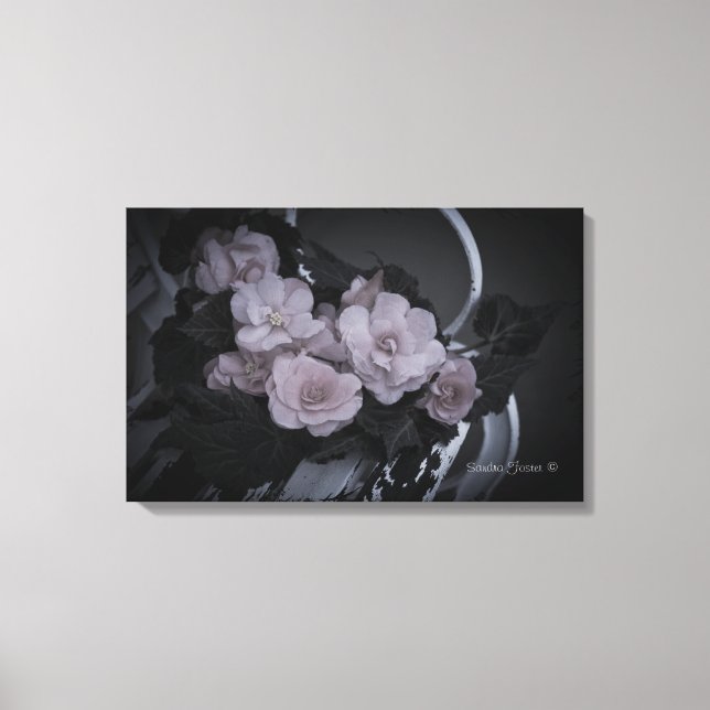 Begonias on Bench Garden Scene Gallery Canvas (Framsida)