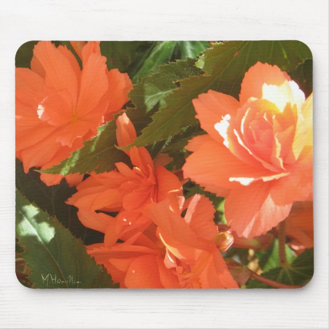 Begonias Photo Mousepad Musmatta (Framsidan)