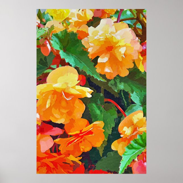 BEGONIAS POSTER (Framsidan)