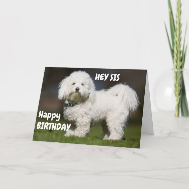 BEGRÄNSA HUND FÖR MIN SISTERS BIRTHDAY KORT (Framsida)