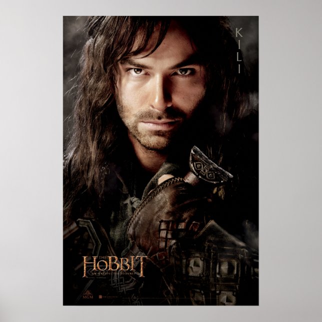 Begränsada upplagan Artwork: Kili Poster (Framsidan)