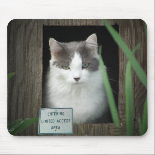 Begränsadt åtkomstområde musmatta