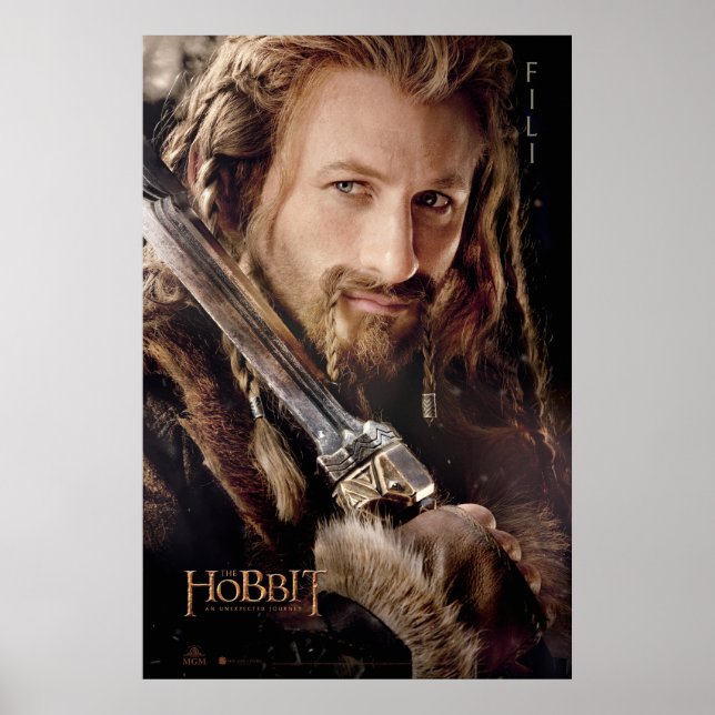 Begränsadt upplagakonstverk: Fili Poster (Framsidan)