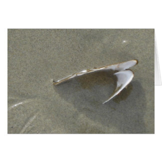 Begravd havssnäcka hälsningskort