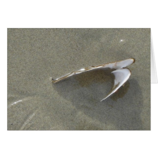 Begravd havssnäcka hälsningskort (Framsidan Horizontal)