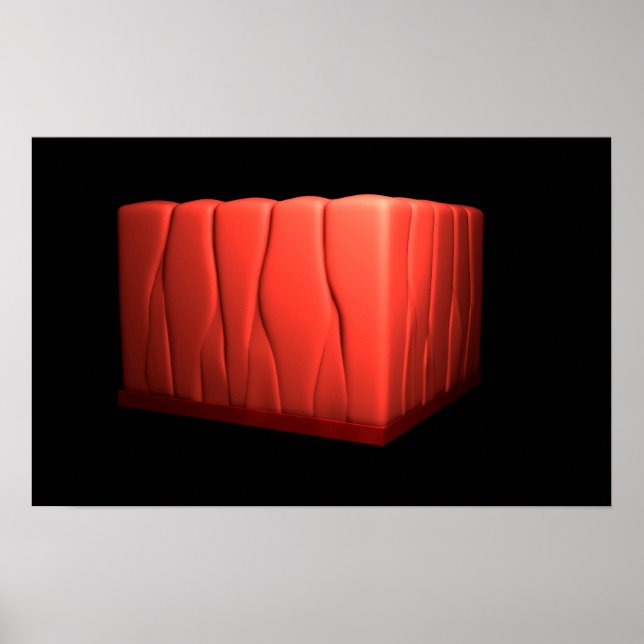 Begreppet pseudostratifierad colarnépithelium poster (Framsidan)